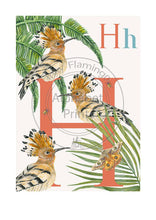 Load image into Gallery viewer, Animal Alphabet limited edition signed print - H is for Hoopoe, original design beautifully hand painted with watercolors by artist Lisa Read - Original Music and Movie Posters for sale from Bamalama - Online Poster Store UK London

