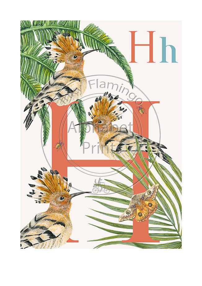 Animal Alphabet limited edition signed print - H is for Hoopoe, original design beautifully hand painted with watercolors by artist Lisa Read - Original Music and Movie Posters for sale from Bamalama - Online Poster Store UK London