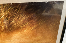 Load image into Gallery viewer, Michael Moore original movie film poster - Fahrenheit 9/11 British UK Quad 2004 - Original Music and Movie Posters for sale from Bamalama - Online Poster Store UK London