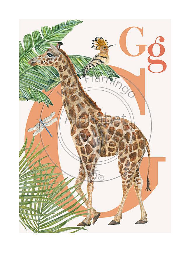 Animal Alphabet limited edition signed print - G is for Giraffe, original design beautifully hand painted with watercolors by artist Lisa Read - Original Music and Movie Posters for sale from Bamalama - Online Poster Store UK London
