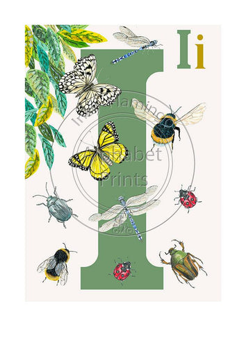 Animal Alphabet limited edition signed print - I is for Insects, original design beautifully hand painted with watercolors by artist Lisa Read - Original Music and Movie Posters for sale from Bamalama - Online Poster Store UK London