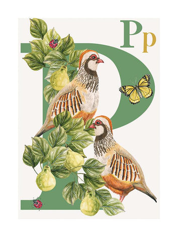 Childrens bedroom & nursery animal poster print - P is for Partridge, original design beautifully hand painted with watercolors and signed by artist Lisa Read - Original Music and Movie Posters for sale from Bamalama - Online Poster Store UK London