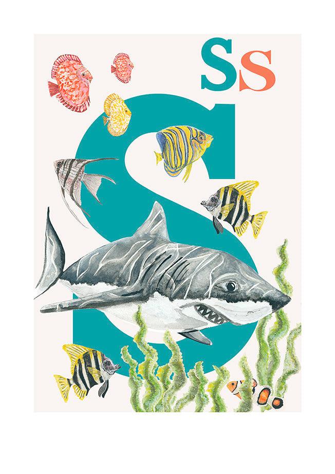 Childrens bedroom & nursery animal poster print - S is for Shark, original design beautifully hand painted with watercolors and signed by artist Lisa Read - Original Music and Movie Posters for sale from Bamalama - Online Poster Store UK London