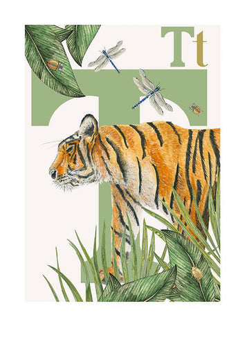 Childrens bedroom & nursery animal poster print - T is for Tiger, original design beautifully hand painted with watercolors and signed by artist Lisa Read - Original Music and Movie Posters for sale from Bamalama - Online Poster Store UK London