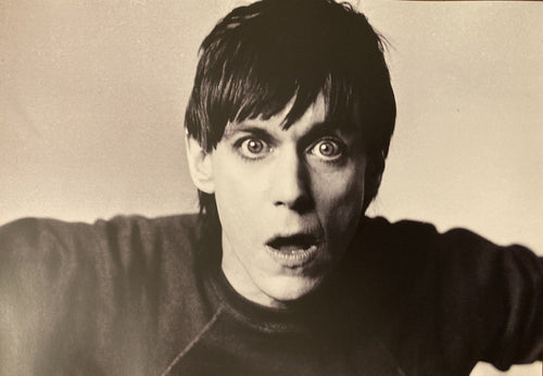 Iggy Pop photographic poster - Large A3 size reproduced from original files/negative - Original Music and Movie Posters for sale from Bamalama - Online Poster Store UK London