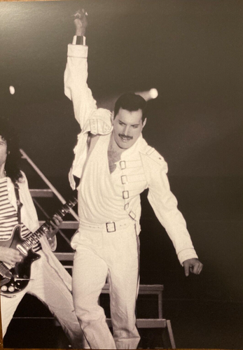 Queen poster photo Freddie Mercury large A3 size repro from original files/negative - Original Music and Movie Posters for sale from Bamalama - Online Poster Store UK London