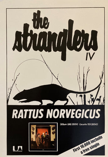 The Stranglers promotional poster - First Album Rattus Norvegicus 1977 new reprinted edition - Original Music and Movie Posters for sale from Bamalama - Online Poster Store UK London