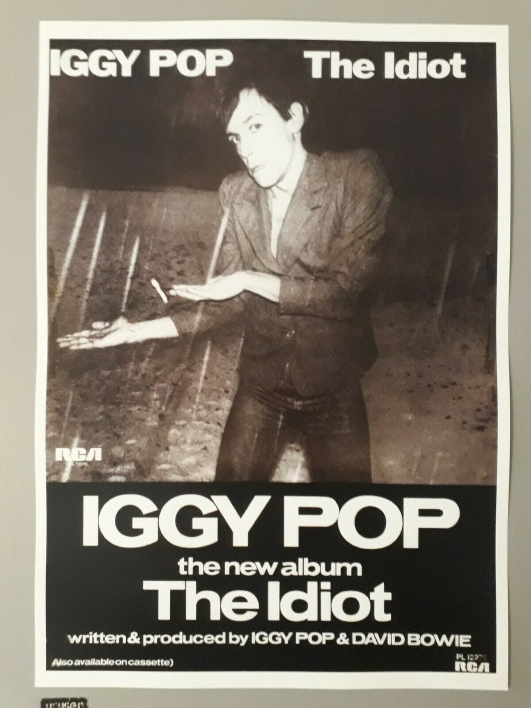 Iggy Pop poster - The Idiot promo & David Bowie RCA 1977 new reprint edition A3 - Original Music and Movie Posters for sale from Bamalama - Online Poster Store UK London