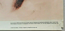 Load image into Gallery viewer, The Beatles vintage original posters - Richard Avedon Daily Express promotional set 1967 - Original Music and Movie Posters for sale from Bamalama - Online Poster Store UK London
